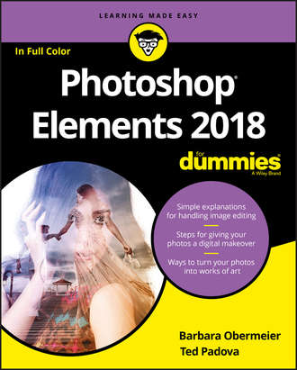 Barbara  Obermeier. Photoshop Elements 2018 For Dummies