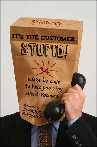 Jeffrey  Gitomer. It's the Customer, Stupid!. 34 Wake-up Calls to Help You Stay Client-Focused
