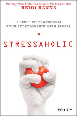 Heidi  Hanna. Stressaholic. 5 Steps to Transform Your Relationship with Stress