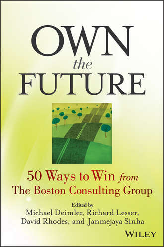 David  Rhodes. Own the Future. 50 Ways to Win from The Boston Consulting Group