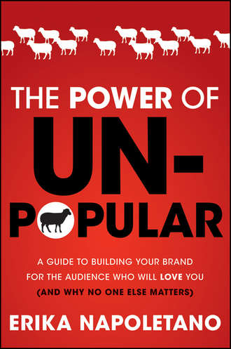 Erika  Napoletano. The Power of Unpopular. A Guide to Building Your Brand for the Audience Who Will Love You (and why no one else matters)