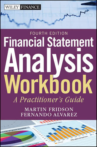 Fernando  Alvarez. Financial Statement Analysis Workbook. A Practitioner's Guide