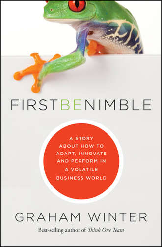 Graham  Winter. First Be Nimble. A Story About How to Adapt, Innovate and Perform in a Volatile Business World