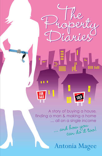 Antonia  Magee. The Property Diaries. A Story of Buying a House, Finding a Man and Making a Home.. All on a Single Income!