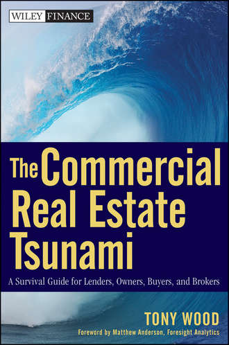 Tony  Wood. The Commercial Real Estate Tsunami. A Survival Guide for Lenders, Owners, Buyers, and Brokers