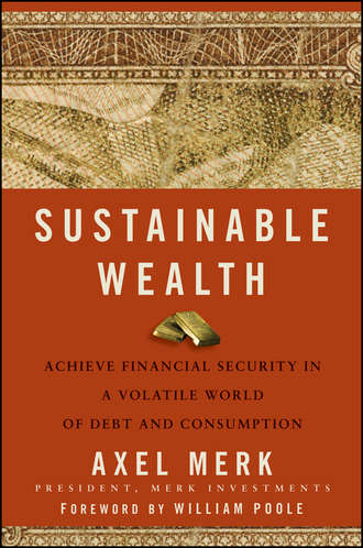 Axel  Merk. Sustainable Wealth. Achieve Financial Security in a Volatile World of Debt and Consumption