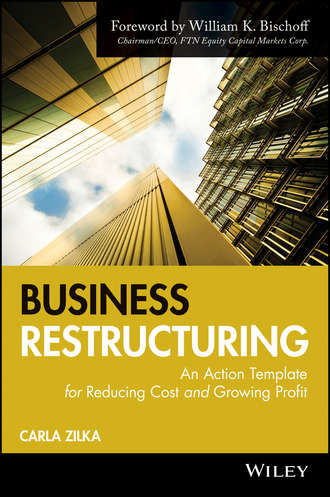 Carla  Zilka. Business Restructuring. An Action Template for Reducing Cost and Growing Profit