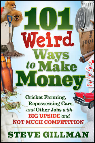 Steve  Gillman. 101 Weird Ways to Make Money. Cricket Farming, Repossessing Cars, and Other Jobs With Big Upside and Not Much Competition