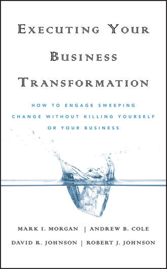 Dave  Johnson. Executing Your Business Transformation. How to Engage Sweeping Change Without Killing Yourself Or Your Business