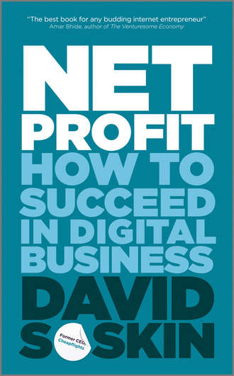 David  Soskin. Net Profit. How to Succeed in Digital Business