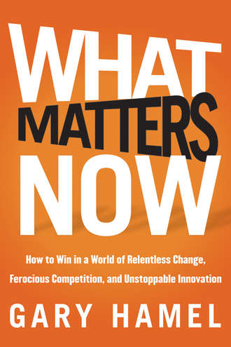 Гэри Хэмел. What Matters Now. How to Win in a World of Relentless Change, Ferocious Competition, and Unstoppable Innovation