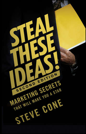 Steve  Cone. Steal These Ideas!. Marketing Secrets That Will Make You a Star