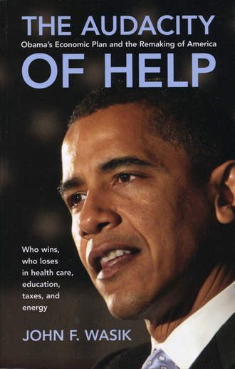 John Wasik F.. The Audacity of Help. Obama's Stimulus Plan and the Remaking of America