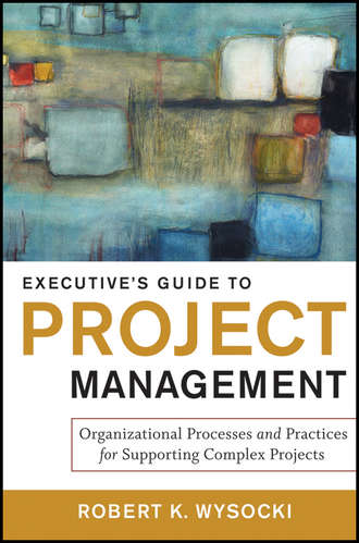 Robert Wysocki K.. Executive's Guide to Project Management. Organizational Processes and Practices for Supporting Complex Projects