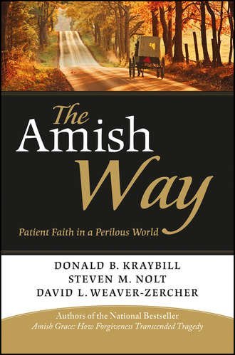 Donald Kraybill B.. The Amish Way. Patient Faith in a Perilous World