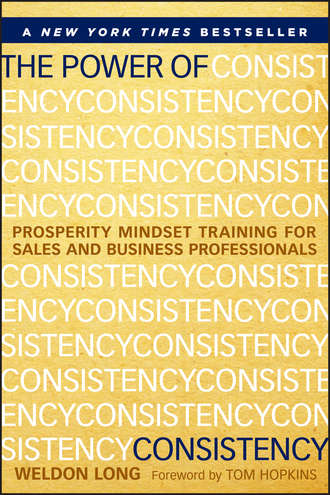 Weldon  Long. The Power of Consistency. Prosperity Mindset Training for Sales and Business Professionals