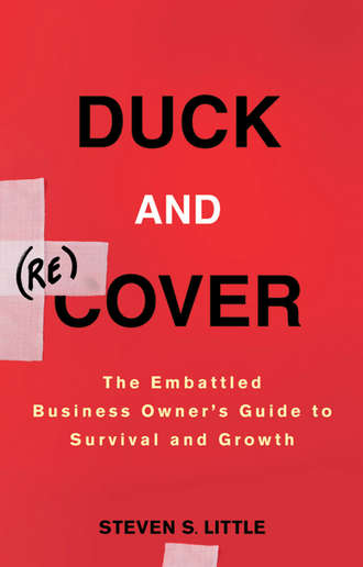 Steven Little S.. Duck and Recover. The Embattled Business Owner's Guide to Survival and Growth