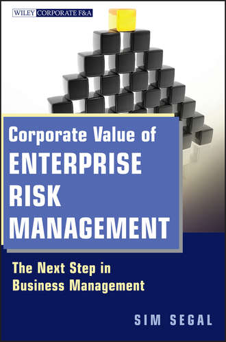 Sim  Segal. Corporate Value of Enterprise Risk Management. The Next Step in Business Management