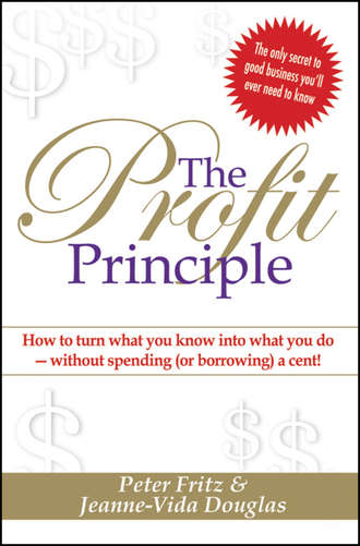 Peter  Fritz. The Profit Principle. Turn What You Know Into What You Do - Without Borrowing a Cent!