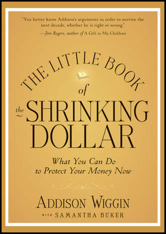 Addison  Wiggin. The Little Book of the Shrinking Dollar. What You Can Do to Protect Your Money Now
