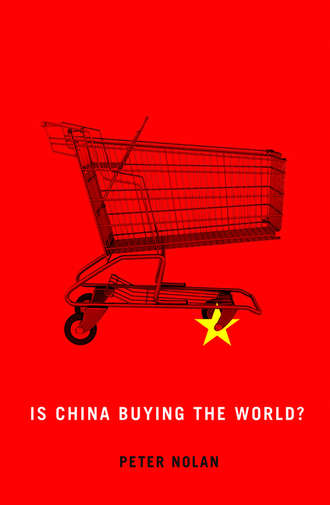 Peter  Nolan. Is China Buying the World?