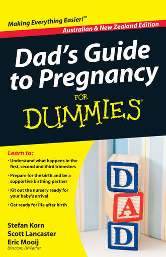 Stefan  Korn. Dad's Guide to Pregnancy For Dummies
