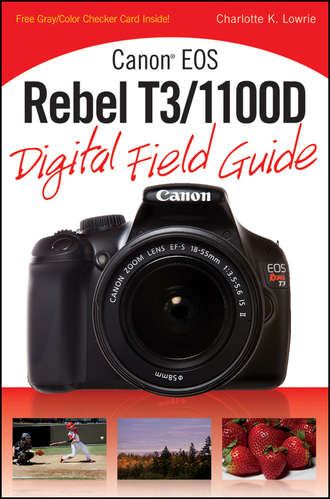 Charlotte Lowrie K.. Canon EOS Rebel T3/1100D Digital Field Guide