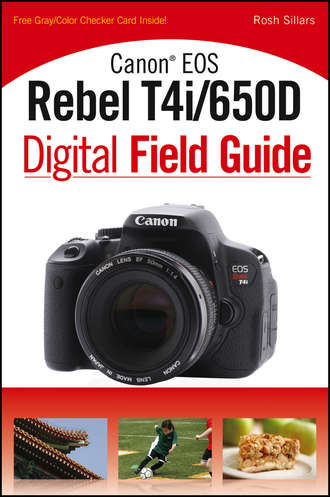 Rosh  Sillars. Canon EOS Rebel T4i/650D Digital Field Guide
