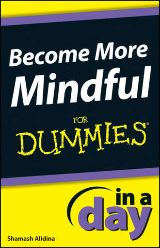 Shamash  Alidina. Become More Mindful In A Day For Dummies