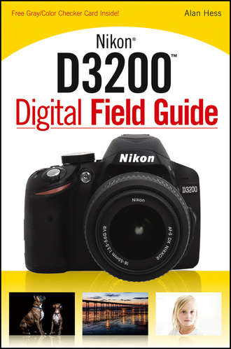 Alan  Hess. Nikon D3200 Digital Field Guide