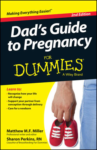 Sharon  Perkins. Dad's Guide To Pregnancy For Dummies