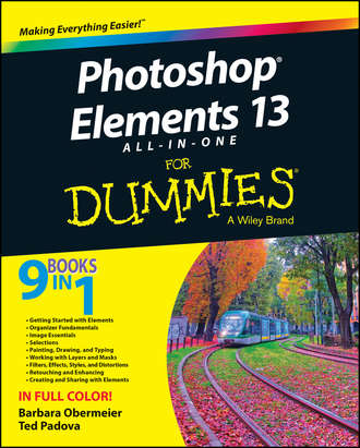 Barbara  Obermeier. Photoshop Elements 13 All-in-One For Dummies