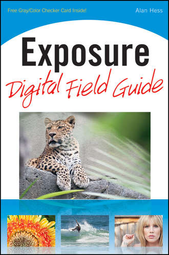 Alan  Hess. Exposure Digital Field Guide