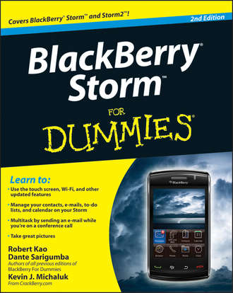Robert  Kao. BlackBerry Storm For Dummies