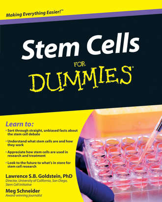 Meg  Schneider. Stem Cells For Dummies