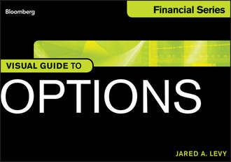 Jared  Levy. Visual Guide to Options
