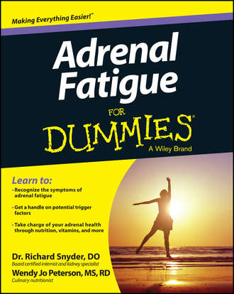 Richard  Snyder. Adrenal Fatigue For Dummies