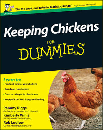 Pammy  Riggs. Keeping Chickens For Dummies