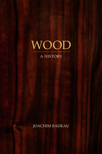 Joachim  Radkau. Wood. A History