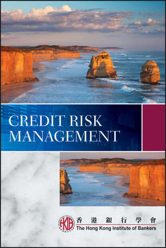Группа авторов. Credit Risk Management
