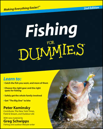 Peter  Kaminsky. Fishing for Dummies