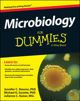Jennifer  Stearns. Microbiology For Dummies