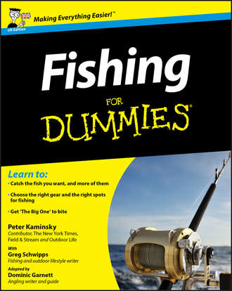 Peter  Kaminsky. Fishing For Dummies