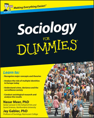 Jay  Gabler. Sociology For Dummies