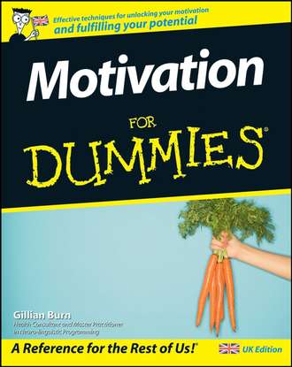 Motivation For Dummies. Gillian  Burn