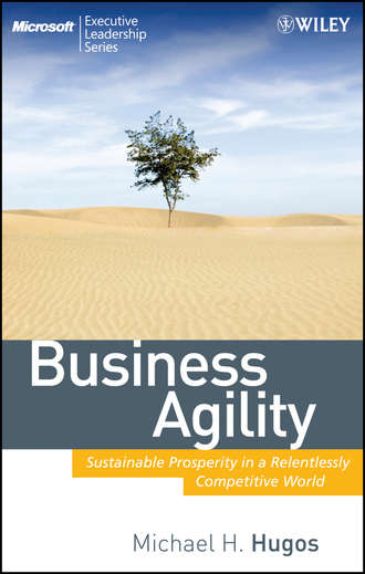 Michael Hugos H.. Business Agility. Sustainable Prosperity in a Relentlessly Competitive World