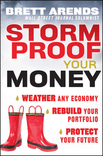 Brett  Arends. Storm Proof Your Money. Weather Any Economy, Rebuild Your Portfolio, Protect Your Future