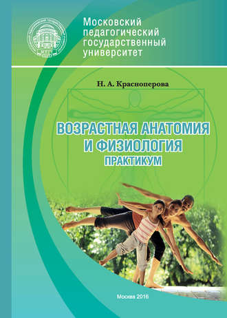 Возрастная анатомия и физиология. Практикум. 