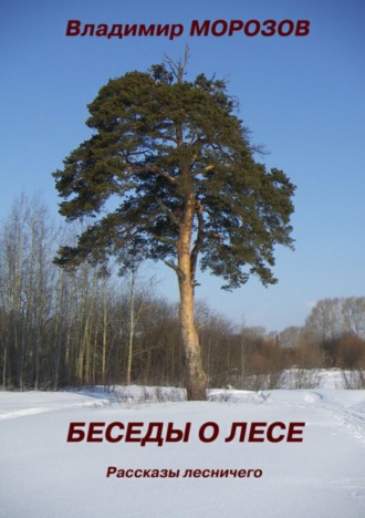 Владимир Игоревич Морозов. Беседы о лесе. Рассказы лесничего