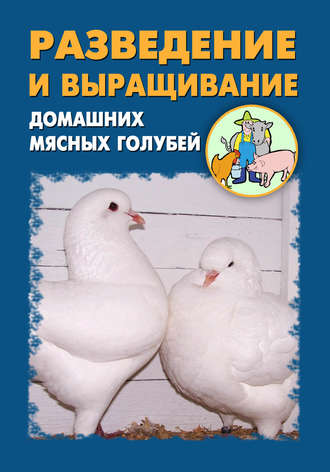 Илья Мельников. Разведение и выращивание домашних мясных голубей